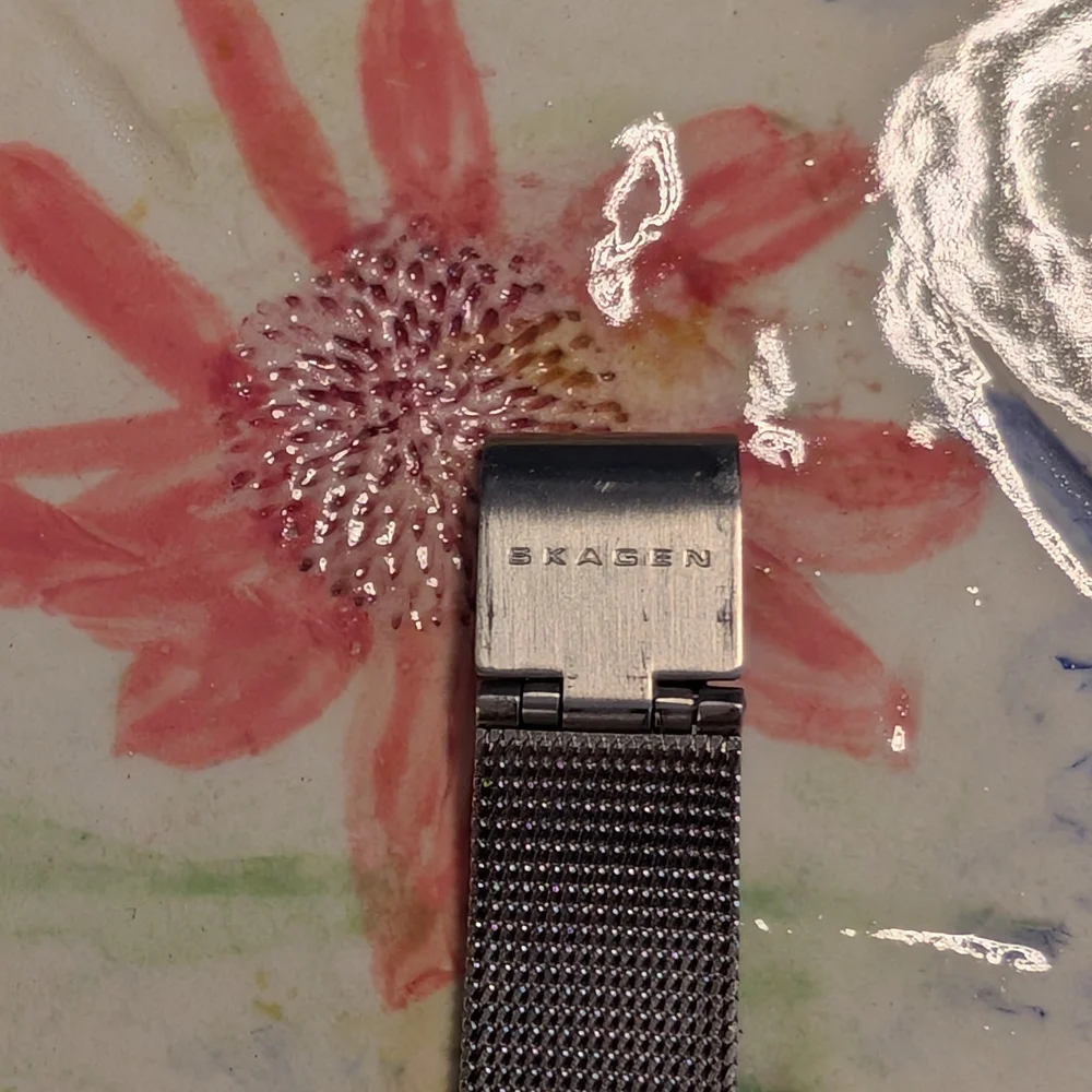 Skagen Watch